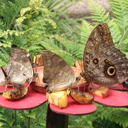 Authentique Avec Terrasse, Jardin Clos Et Wifi à - Fr-1-426-140 Hébergement de vacances *