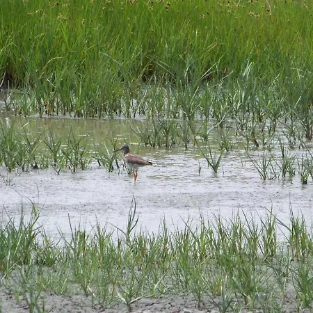 Hébergement de vacances Authentique Avec Terrasse, Jardin Clos Et Wifi à - Fr-1-426-140