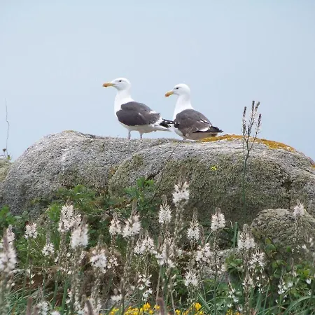 Authentique Avec Terrasse, Jardin Clos Et Wifi à - Fr-1-426-140 Hébergement de vacances *