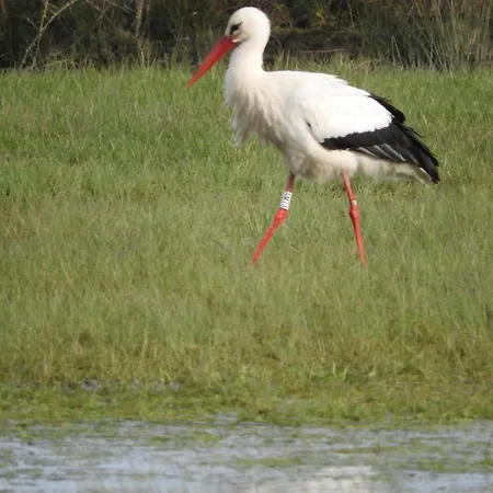 Hébergement de vacances Authentique Avec Terrasse, Jardin Clos Et Wifi à - Fr-1-426-140