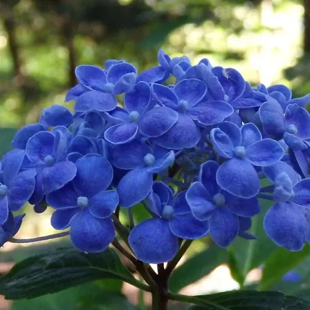 Authentique Avec Terrasse, Jardin Clos Et Wifi à - Fr-1-426-140 *