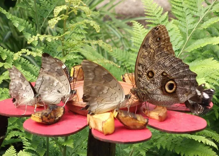 Authentique Avec Terrasse, Jardin Clos Et Wifi A - Fr-1-426-140 Nyaraló *