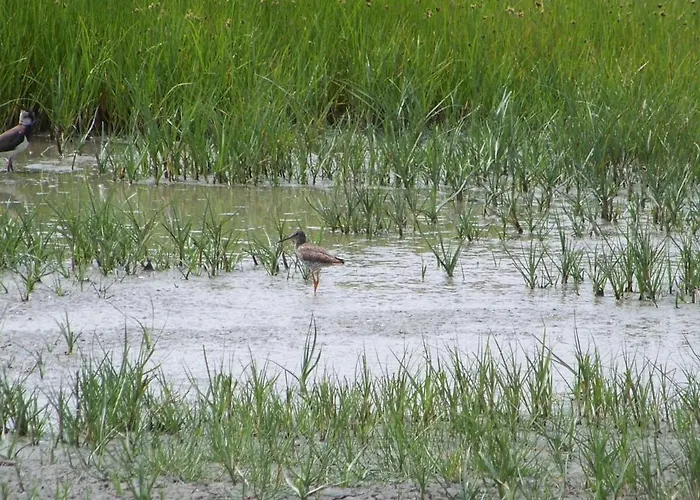 Сasa de vacaciones Authentique Avec Terrasse, Jardin Clos Et Wifi A - Fr-1-426-140