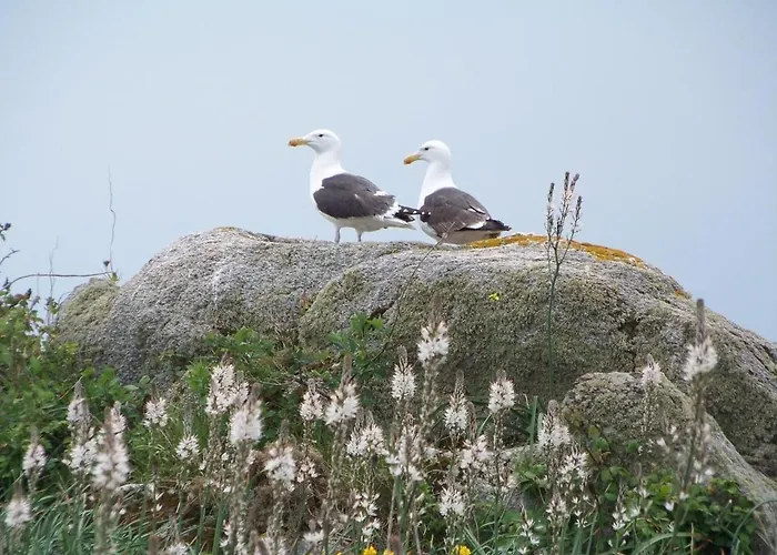 Authentique Avec Terrasse, Jardin Clos Et Wifi A - Fr-1-426-140 Nyaraló *