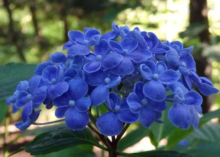 Authentique Avec Terrasse, Jardin Clos Et Wifi A - Fr-1-426-140 *